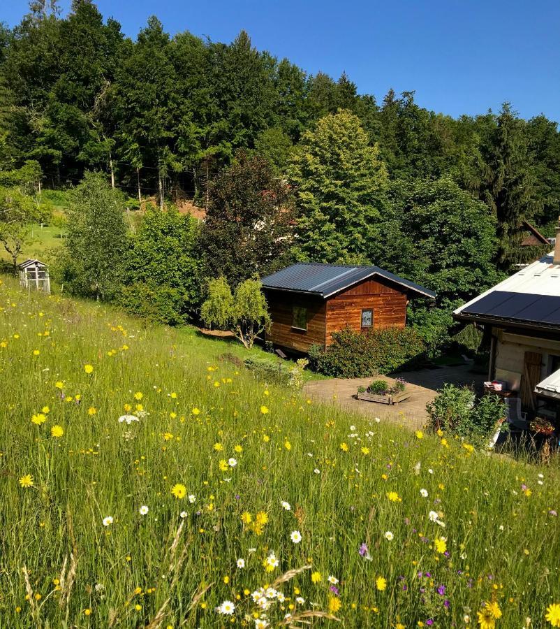 Gite Le Mazot De Vouan Saint-Andre-de-Boege Экстерьер фото